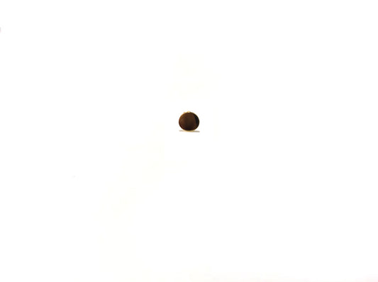 【再入荷!!】 Vanish Circle Pierce / Gold SS