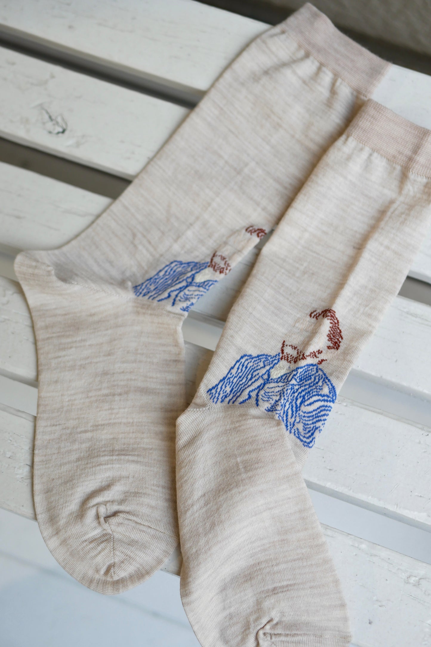 A Touch of Van Gogh Socks