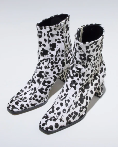 Hazel 37 / Dalmatian