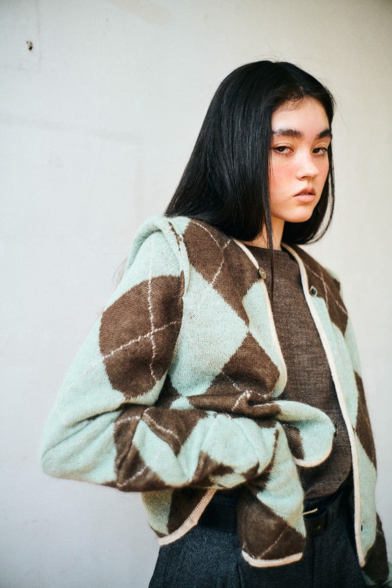 lumpy argyle cardigan