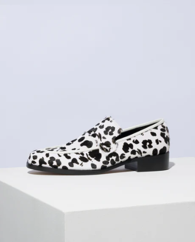 Abigail 37 / Dalmatian