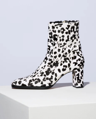 Hazel 37 / Dalmatian